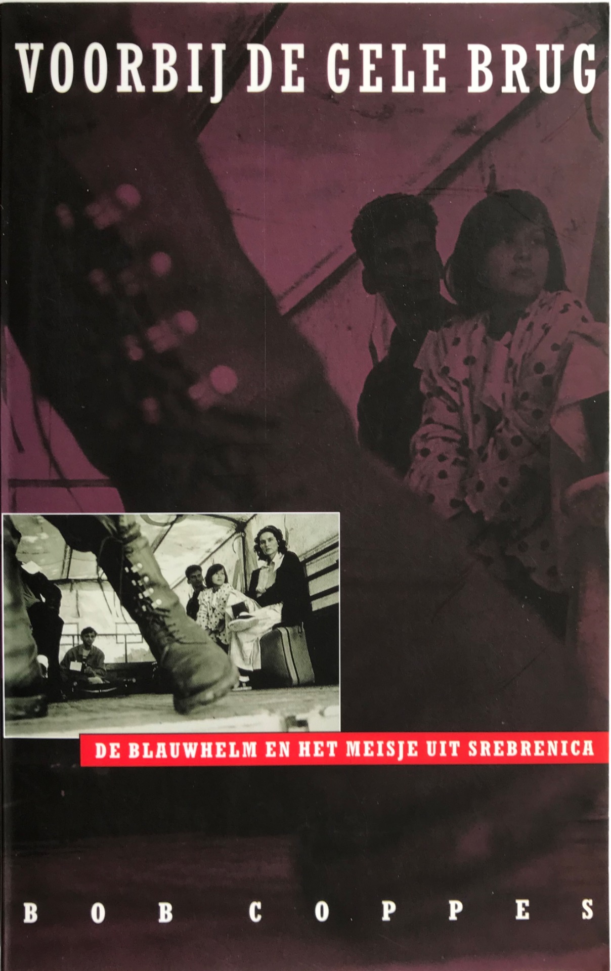 This is the book about Srebrenica; it is only in Dutch